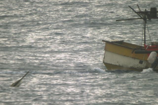 (260302) -- SOUTH CHINA SEA, March 2, 2026 (Xinhua) -- This file photo taken on Oct. 13, 2025 shows a Philippine vessel discarding unidentified waste in waters off China's Huangyan Dao in the South China Sea,
  The Philippine side has in recent days repeatedly directed its coast guard and official vessels to organize fishing boats for intrusions into the territorial waters off China's Huangyan Dao in the South China Sea.
  Under the guise of "escort" and "rights protection," these actions were staged for publicity stunts, infringing upon China's sovereignty and maritime rights and interests.
  TO GO WITH "Explainer: A closer look at Philippine provocations off China's Huangyan Dao" (China Coast Guard/Handout via Xinhua)