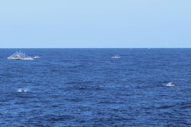 (260302) -- SOUTH CHINA SEA, March 2, 2026 (Xinhua) -- Philippine vessels navigate through a dolphin activity zone in waters off China's Huangyan Dao in the South China Sea, Jan. 30, 2026.
  The Philippine side has in recent days repeatedly directed its coast guard and official vessels to organize fishing boats for intrusions into the territorial waters off China's Huangyan Dao in the South China Sea.
  Under the guise of "escort" and "rights protection," these actions were staged for publicity stunts, infringing upon China's sovereignty and maritime rights and interests.
  TO GO WITH "Explainer: A closer look at Philippine provocations off China's Huangyan Dao" (Xinhua/Fan Shuaishuai)