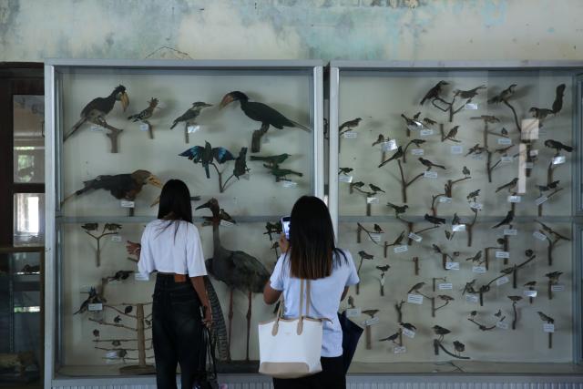 (260303) -- YANGON, March 3, 2026 (Xinhua) -- People visit Hlawga Park in Yangon, Myanmar, March 1, 2026. TO GO WITH "Feature: Protecting nature, preserving life: Myanmar observes World Wildlife Day" (Xinhua/Myo Kyaw Soe)