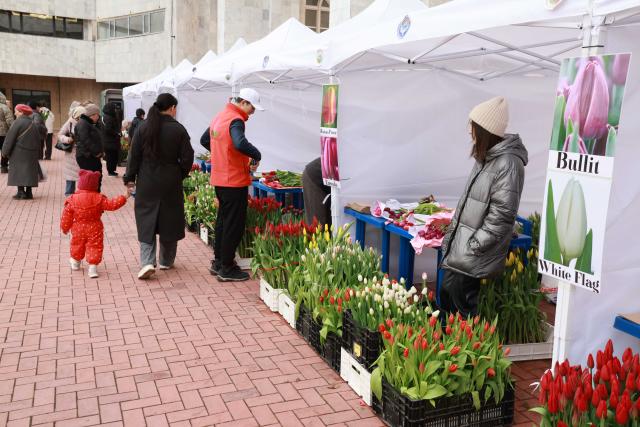 (260303) -- BISHKEK, March 3, 2026 (Xinhua) -- People attend a tulip fair in Bishkek, Kyrgyzstan, on March 3, 2026. The fair will run until March 10. (Photo by Roman/Xinhua)
