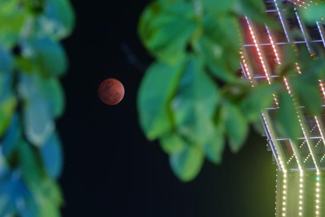 (260303) -- PALANGKARAYA, March 3, 2026 (Xinhua) -- The moon is seen during the lunar eclipse over the sky of Palangkaraya, Central Kalimantan, Indonesia, March 3, 2026. (Photo by Deny Krisbiantoro/Xinhua)