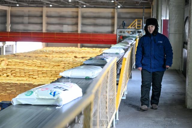 (260306) -- MANAS, March 6, 2026 (Xinhua) -- An employee checks packaging at a fertilizer company in Manas County of Changji Hui Autonomous Prefecture, northwest China's Xinjiang Uygur Autonomous Region, on March 5, 2026. Agricultural supply manufacturers in Xinjiang are working at full capacity to fulfill orders and ensure a steady flow of fertilizers and materials for spring farming.
   Ample farm supplies and improved field management, together with the use of drones, provide strong support for a smooth start of another round of spring sowing, which is key to achieving higher grain output and increased local farmer incomes. (Xinhua/Ding Lei)