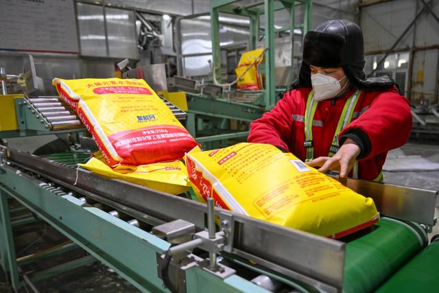 (260306) -- MANAS, March 6, 2026 (Xinhua) -- An employee works at a fertilizer company in Manas County of Changji Hui Autonomous Prefecture, northwest China's Xinjiang Uygur Autonomous Region, on March 4, 2026. Agricultural supply manufacturers in Xinjiang are working at full capacity to fulfill orders and ensure a steady flow of fertilizers and materials for spring farming.
   Ample farm supplies and improved field management, together with the use of drones, provide strong support for a smooth start of another round of spring sowing, which is key to achieving higher grain output and increased local farmer incomes. (Xinhua/Ding Lei)
