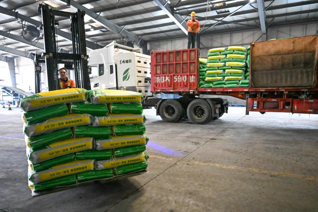 (260306) -- MANAS, March 6, 2026 (Xinhua) -- Employees load bags of fertilizers onto a truck at a fertilizer company in Manas County of Changji Hui Autonomous Prefecture, northwest China's Xinjiang Uygur Autonomous Region, on March 4, 2026. Agricultural supply manufacturers in Xinjiang are working at full capacity to fulfill orders and ensure a steady flow of fertilizers and materials for spring farming.
   Ample farm supplies and improved field management, together with the use of drones, provide strong support for a smooth start of another round of spring sowing, which is key to achieving higher grain output and increased local farmer incomes. (Xinhua/Ding Lei)