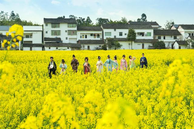 (260308) -- BEIJING, March 8, 2026 (Xinhua) -- Tourists wearing traditional costumes walk among flowering canola fields in Guang'an City, southwest China's Sichuan Province, March 5, 2026. (Photo by Zhang Guosheng/Xinhua)