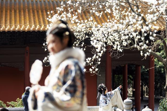 (260308) -- BEIJING, March 8, 2026 (Xinhua) -- Tourists wearing traditional costumes take photos with magnolia flowers in Nanjing, east China's Jiangsu Province, March 7, 2026. (Photo by Sun Zhongnan/Xinhua)