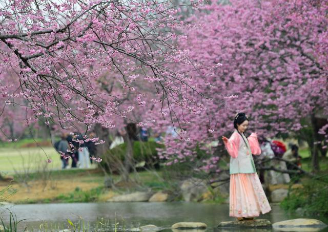 (260308) -- BEIJING, March 8, 2026 (Xinhua) -- A tourist wearing traditional costume poses for photos at the Yuantouzhu scenic spot in Wuxi, east China's Jiangsu Province, March 6, 2026. (Photo by Huan Yueliang/Xinhua)