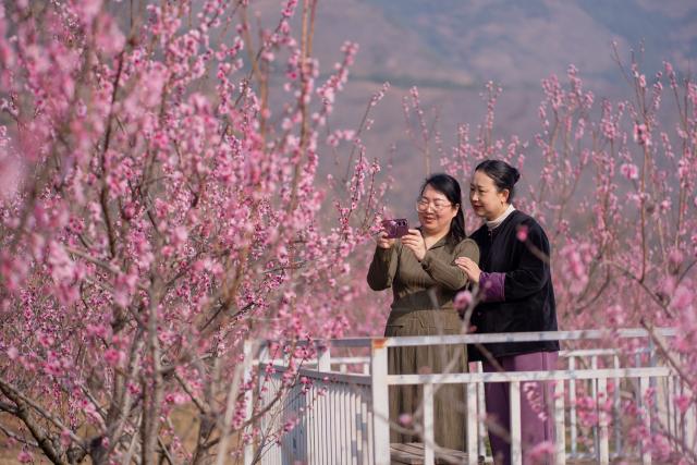(260308) -- BEIJING, March 8, 2026 (Xinhua) -- Tourists view flowers in Eryuan County, southwest China's Yunnan Province, March 7, 2026. (Photo by Luo Xincai/Xinhua)