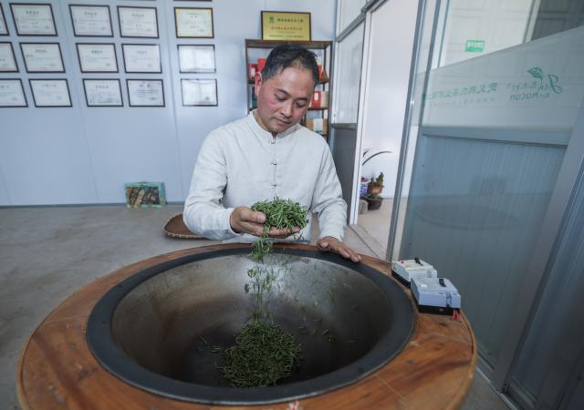 (260310) -- WUYI, March 10, 2026 (Xinhua) -- A tea master stir-fries spring tea leaves in Jinhua City, east China's Zhejiang Province, March 10, 2026. Recently, all 128,200 mu (about 8546.7 hectares) of tea gardens in Wuyi have entered the full harvesting season. (Xinhua/Xu Yu)