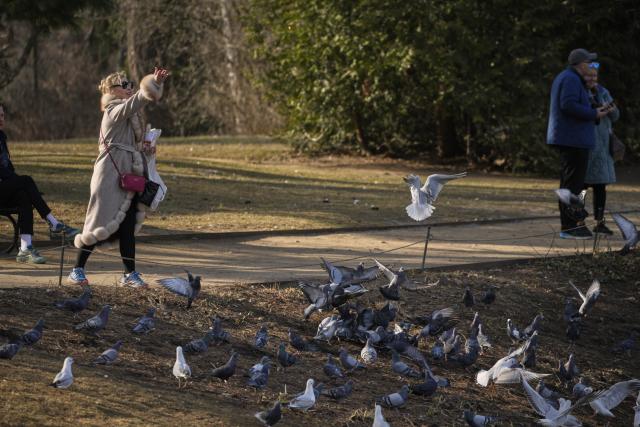 (260311) -- WARSAW, March 11, 2026 (Xinhua) -- A tourist feeds pigeons at the Lazienki Park in Warsaw, Poland, on March 10, 2026. (Photo by Jaap Arriens/Xinhua)