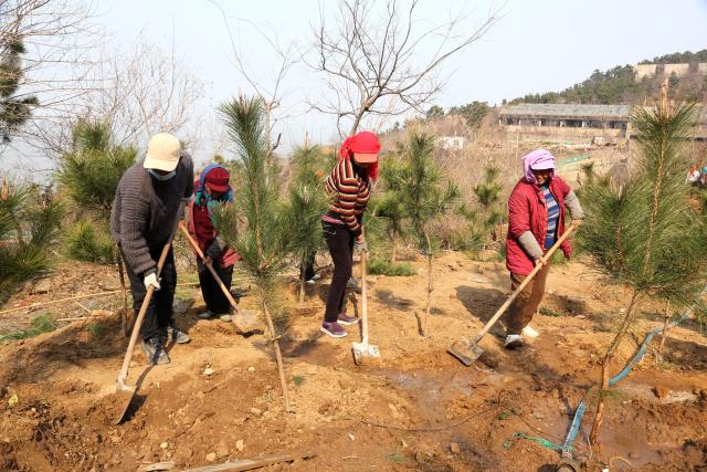 (260311) -- BEIJING, March 11, 2026 (Xinhua) -- People take part in a tree planting event in Lianyungang, east China's Jiangsu Province, March 10, 2026. China designated March 12 as National Tree Planting Day in 1979, and launched a nationwide voluntary tree-planting campaign in 1981. With the 2026 National Tree Planting Day just around the corner, tree planting activities are held across the country to encourage more people to participate in afforestation work. (Photo by Wang Chun/Xinhua)