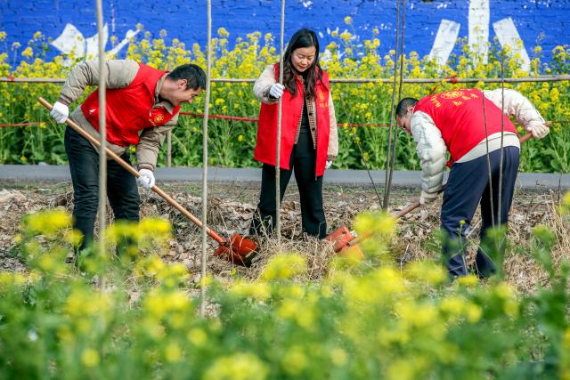 (260311) -- BEIJING, March 11, 2026 (Xinhua) -- Volunteers take part in a tree planting event in Boai County of Jiaozuo, central China's Henan Province, March 11, 2026. China designated March 12 as National Tree Planting Day in 1979, and launched a nationwide voluntary tree-planting campaign in 1981. With the 2026 National Tree Planting Day just around the corner, tree planting activities are held across the country to encourage more people to participate in afforestation work. (Photo by Cheng Quan/Xinhua)