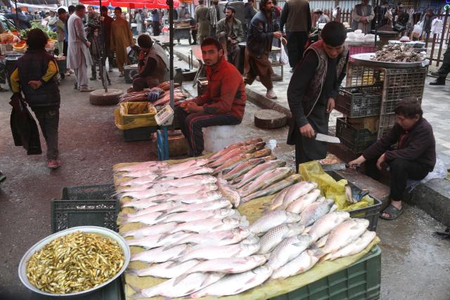 (260311) -- KABUL, March 11, 2026 (Xinhua) -- Fish vendors wait for customers at a fish market in Kabul, Afghanistan, March 11, 2026. Plans are in place to build an additional 7,700 fish farms across Afghanistan, according to the office of the deputy prime minister for economic affairs. (Photo by Saifurahman Safi/Xinhua)