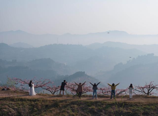 (260311) -- CHENGDU, March 11, 2026 (Xinhua) -- This drone photo taken on March 11, 2026 shows tourists viewing peach blossoms on Longquan mountain in Chengdu, southwest China's Sichuan Province. (Xinhua/Jiang Hongjing)