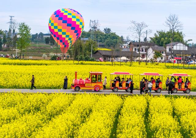 (260312) -- BEIJING, March 12, 2026 (Xinhua) -- A drone photo taken on March 8, 2026 shows tourists enjoying rapeseed flowers in Huaqiao Town of Guang'an City, southwest China's Sichuan Province. (Photo by Zhang Guosheng/Xinhua)