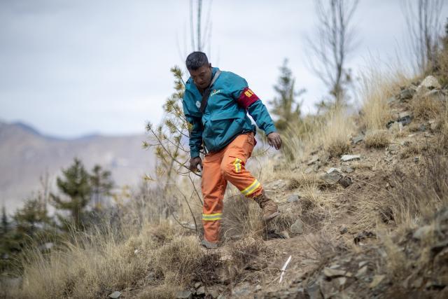 (260312) -- LHASA, March 12, 2026 (Xinhua) -- Tashi Chophel patrols at Nanshan Park in Lhasa, southwest China's Xizang Autonomous Region, March 20, 2025.
  TO GO WITH "Xizang Story: Ranger's 14-year watch over greening mountain on 'roof of world'" (Xinhua/Jiang Fan)