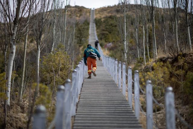 (260312) -- LHASA, March 12, 2026 (Xinhua) -- Tashi Chophel patrols at Nanshan Park in Lhasa, southwest China's Xizang Autonomous Region, March 20, 2025.
  TO GO WITH "Xizang Story: Ranger's 14-year watch over greening mountain on 'roof of world'" (Xinhua/Jiang Fan)