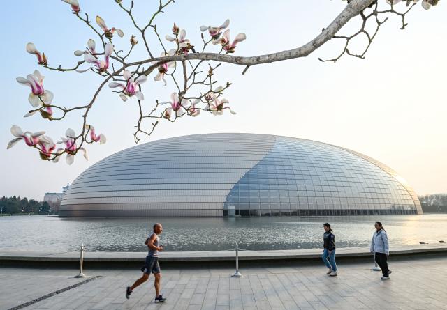 (260312) -- BEIJING, March 12, 2026 (Xinhua) -- This photo taken on March 12, 2026 shows magnolia blossoms near the National Center for the Performing Arts in Beijing, capital of China. (Xinhua/Chen Yehua)