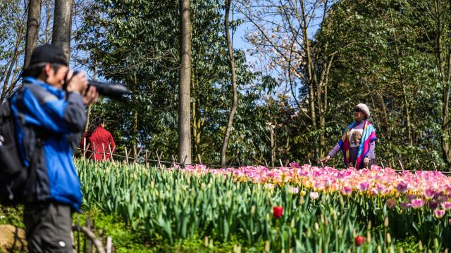 (260312) -- LONGLI, March 12, 2026 (Xinhua) -- A tourist poses for photos at Longjiashan National Forest Park in Longli County, southwest China's Guizhou Province, March 12, 2026. (Xinhua/Tao Liang)