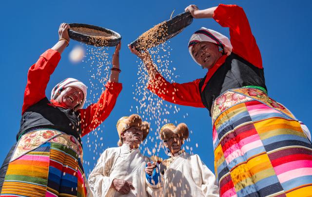 (260312) -- BEIJING, March 12, 2026 (Xinhua) -- Farmers thresh the highland barley in their traditional way in Lhunzhub County, southwest China's Xizang Autonomous Region, Sept. 23, 2025. (Xinhua/Tenzin Nyida)