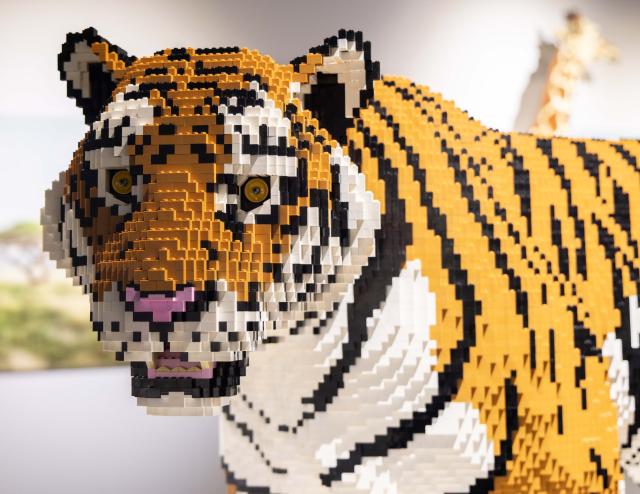 (260313) -- TORONTO, March 13, 2026 (Xinhua) -- An artwork is seen during the exhibition Art of the Brick in Toronto, Canada, on March 12, 2026. Showcasing over 130 artworks and constructions made out of more than one million LEGO bricks, this art exhibition is held here from March 5 to May 31. (Photo by Zou Zheng/Xinhua)