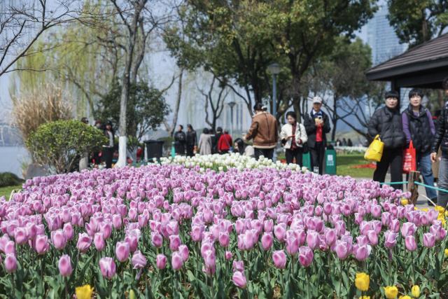 (260313) -- SHAOXING, March 13, 2026 (Xinhua) -- Tourists view flowers by Guazhu lake in Shaoxing, east China's Zhejiang Province, March 13, 2026. (Xinhua/Xu Yu)