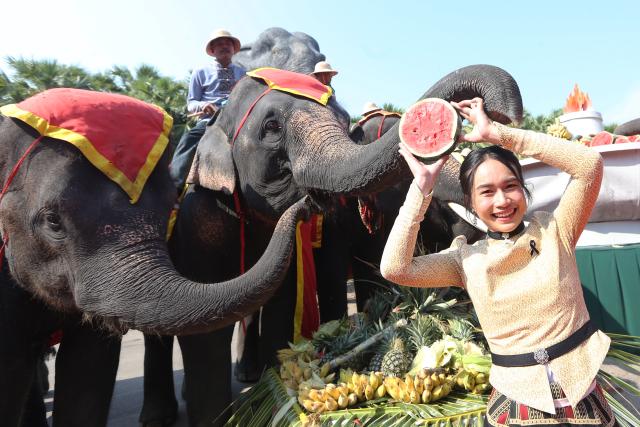 (260313) -- PATTAYA, March 13, 2026 (Xinhua) -- A tourist poses for photos with elephants during an event celebrating the Thai National Elephant Day at Nong Nooch Tropical Garden in Pattaya, Thailand, March 13, 2026. Thai National Elephant Day is celebrated on March 13 annually in Thailand. Various activities are held to raise public awareness of the elephants. (Xinhua/Rachen Sageamsak)