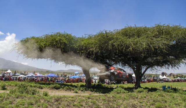 (260314) -- NAIVASHA, March 14, 2026 (Xinhua) -- Toyota Gazoo Racing WRT2's Finnish driver Sami Pajari and his co-driver Marko Salminen compete on the second day of the WRC Safari Rally Kenya 2026 at "Miti Mbili" in Naivasha, Nakuru County, Kenya, March 13, 2026. (Photo by Kevin Onnoka/Xinhua)