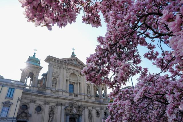 (260314) -- BEIJING, March 14, 2026 (Xinhua) -- This photo taken on March 13, 2026 shows magnolia blossoms in Milan, Italy. (Xinhua/Li Jing)