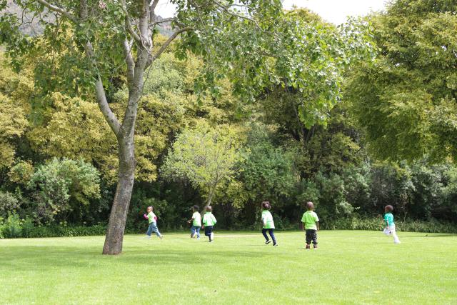 (260314) -- JOHANNESBURG, March 14, 2026 (Xinhua) -- Children visit the Walter Sisulu National Botanical Garden in Johannesburg, South Africa, March 13, 2026. South Africa is marking the 2026 National Gardens Week from March 9 to 15. (Xinhua/Chen Wei)