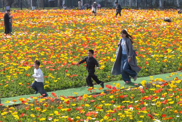 (260314) -- BEIJING, March 14, 2026 (Xinhua) -- People visit a park in Wuhan, central China's Hubei Province, March 14, 2026. (Xinhua/Xiao Yijiu)