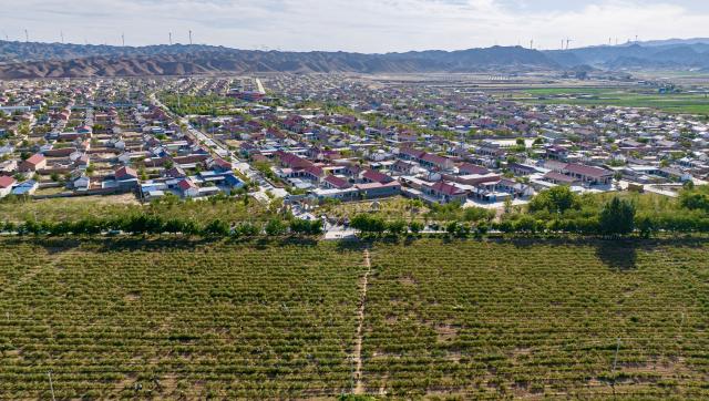 (260709) -- BEIJING, July 9, 2026 (Xinhua) -- An aerial drone photo taken on July 6, 2026 shows a goji berry plantation in Hexi Town of Tongxin County, northwest China's Ningxia Hui Autonomous Region.
  TO GO WITH "China Focus: 90 years after Edgar Snow, a journey through China's revolutionary past and present" (Xinhua/Yang Zhisen)