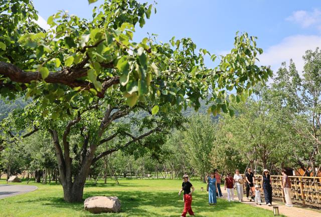 (260709) -- TIANJIN, July 9, 2026 (Xinhua) -- People have fun at a deer park in Xiaying Town of Jizhou District, north China's Tianjin, July 8, 2026. Xiaying Town in Jizhou District of Tianjin ushered in a travel boom as the summer vacation season began in China. In recent years, the town, taking advantages of its unique mountain, forest and water resources, has built a number of distinctive tourist attractions to meet people's various travelling demands. (Xinhua/Li Ran)