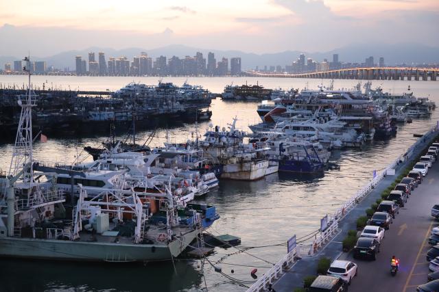(260709) -- XIAMEN, July 9, 2026 (Xinhua) -- This photo taken on July 9, 2026 shows vessels taking shelter at a port in response to the incoming Typhoon Bavi in Xiamen, southeast China's Fujian Province. China's State Flood Control and Drought Relief Headquarters on Thursday upgraded its emergency response for flood and typhoon control from Level IV to Level III in response to Typhoon Bavi. (Photo by Zeng Demeng/Xinhua)