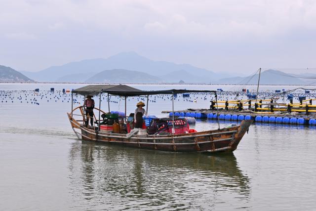 (260710) -- NINGDE, July 10, 2026 (Xinhua) -- A fishing boat returns to port to seek shelter in Ningde, southeast China's Fujian Province, July 10, 2026. China's Ministry of Emergency Management (MEM) on Friday activated a Level III geological disaster emergency response for the country's eastern provinces of Zhejiang and Fujian.
   According to the MEM, influenced by Typhoon Bavi, the ninth typhoon of 2026, southern Zhejiang and northeastern Fujian are expected to experience heavy to torrential rainfall from Friday to Monday, with some areas facing extremely heavy rainfall. (Xinhua/Jiang Kehong)