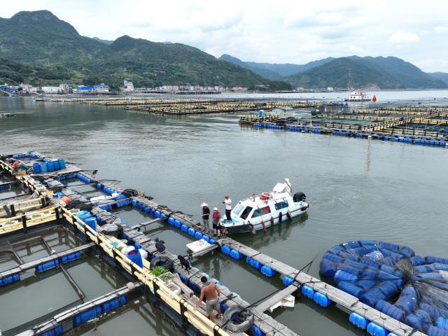 (260710) -- NINGDE, July 10, 2026 (Xinhua) -- This drone photo taken on July 10, 2026 shows officials assisting aquaculture workers in evacuation in Ningde, southeast China's Fujian Province. China's Ministry of Emergency Management (MEM) on Friday activated a Level III geological disaster emergency response for the country's eastern provinces of Zhejiang and Fujian.
   According to the MEM, influenced by Typhoon Bavi, the ninth typhoon of 2026, southern Zhejiang and northeastern Fujian are expected to experience heavy to torrential rainfall from Friday to Monday, with some areas facing extremely heavy rainfall. (Xinhua/Jiang Kehong)