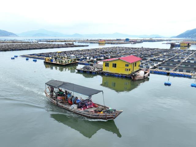 (260710) -- NINGDE, July 10, 2026 (Xinhua) -- This drone photo taken on July 10, 2026 shows a fishing boat returning to port to seek shelter in Ningde, southeast China's Fujian Province. China's Ministry of Emergency Management (MEM) on Friday activated a Level III geological disaster emergency response for the country's eastern provinces of Zhejiang and Fujian.
   According to the MEM, influenced by Typhoon Bavi, the ninth typhoon of 2026, southern Zhejiang and northeastern Fujian are expected to experience heavy to torrential rainfall from Friday to Monday, with some areas facing extremely heavy rainfall. (Xinhua/Jiang Kehong)