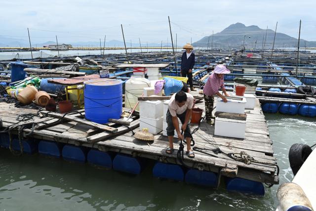 (260710) -- NINGDE, July 10, 2026 (Xinhua) -- Aquaculture workers reinforce the fishing rafts before evacuation in Ningde, southeast China's Fujian Province, July 10, 2026. China's Ministry of Emergency Management (MEM) on Friday activated a Level III geological disaster emergency response for the country's eastern provinces of Zhejiang and Fujian.
   According to the MEM, influenced by Typhoon Bavi, the ninth typhoon of 2026, southern Zhejiang and northeastern Fujian are expected to experience heavy to torrential rainfall from Friday to Monday, with some areas facing extremely heavy rainfall. (Xinhua/Jiang Kehong)