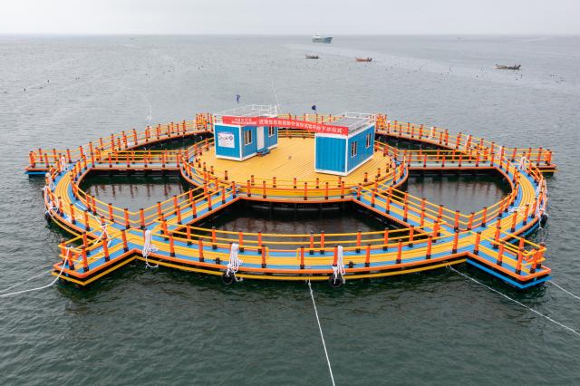 (260710) -- QINGDAO, July 10, 2026 (Xinhua) -- An aerial drone photo taken on July 10, 2026 shows the large offshore platform for controlled in-situ experiments on coastal ecosystems after being deployed in the Yellow Sea off Rongcheng in east China's Shandong Province. China on Friday put into operation a large offshore platform for controlled in-situ experiments regarding coastal ecosystems, marking a new phase of systematic, intelligent and open coastal ecological research in the country.
  Developed by the Institute of Oceanology under the Chinese Academy of Sciences (IOCAS), the facility is deployed in the Yellow Sea off Rongcheng in east China's Shandong Province. It is the country's largest open-access facility for in-situ coastal experiments, the IOCAS said.
  TO GO WITH "China launches large offshore lab for coastal eco-studies" (IOCAS/Handout via Xinhua)
