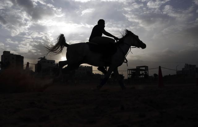 (260710) -- SANAA, July 10, 2026 (Xinhua) -- A rider trains at an equestrian club in Sanaa, Yemen, on July 9, 2026. Horse lovers and trainers gathered at an equestrian club in Yemen's capital Sanaa to promote equestrian culture and encourage horse riding ahead of World Horse Day, which falls on July 11. (Photo by Mohammed Mohammed/Xinhua)