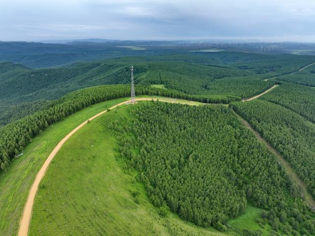 (260711) -- CHENGDE, July 11, 2026 (Xinhua) -- An aerial drone photo taken on July 10, 2026 shows a summer scenery at the Saihanba mechanized forest farm in Chengde City, north China's Hebei Province. (Xinhua/Mu Yu)