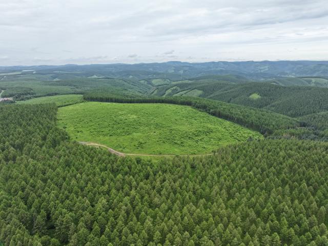 (260711) -- CHENGDE, July 11, 2026 (Xinhua) -- An aerial drone photo taken on July 10, 2026 shows a summer scenery at the Saihanba mechanized forest farm in Chengde City, north China's Hebei Province. (Xinhua/Mu Yu)