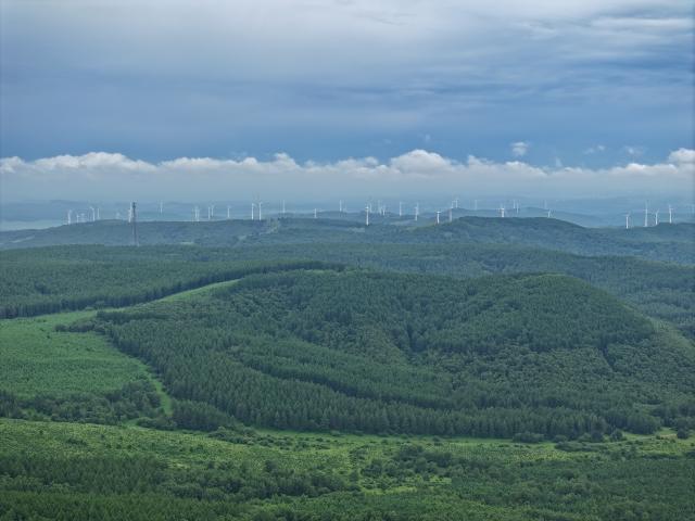 (260711) -- CHENGDE, July 11, 2026 (Xinhua) -- An aerial drone photo taken on July 10, 2026 shows a summer scenery at the Saihanba mechanized forest farm in Chengde City, north China's Hebei Province. (Xinhua/Mu Yu)