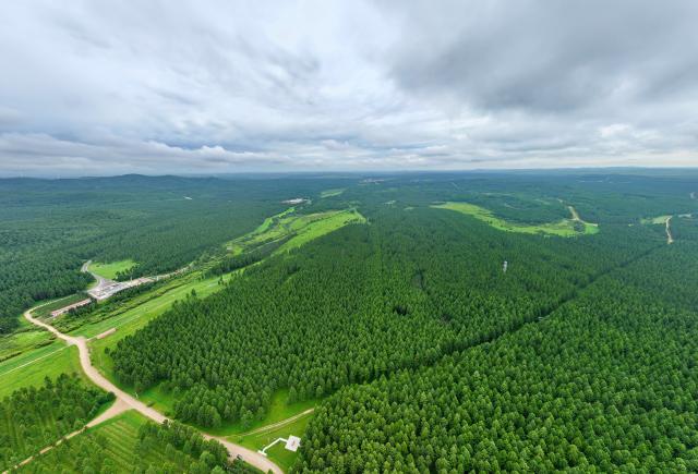 (260711) -- CHENGDE, July 11, 2026 (Xinhua) -- An aerial drone photo taken on July 10, 2026 shows a summer scenery at the Saihanba mechanized forest farm in Chengde City, north China's Hebei Province. (Xinhua/Mu Yu)