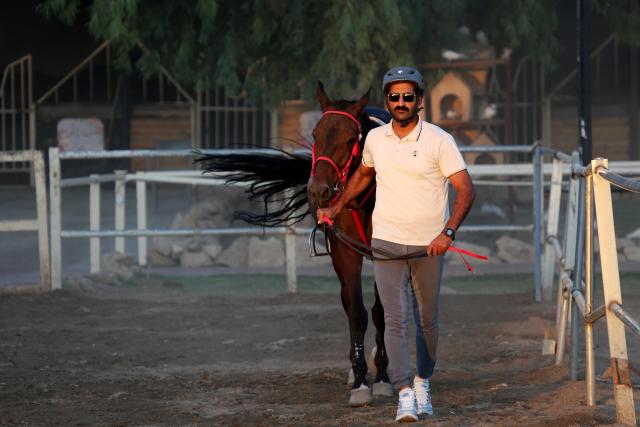 (260711) -- BAGHDAD, July 11, 2026 (Xinhua) -- A man leads a horse in a paddock in Baghdad, Iraq, on July 10, 2026. The United Nations General Assembly adopted a resolution on June 3, 2025, declaring July 11 "World Horse Day" to celebrate the role of horses and to tackle the challenges they face in the modern world. (Xinhua/Khalil Dawood)