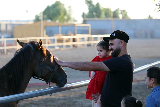 (260711) -- BAGHDAD, July 11, 2026 (Xinhua) -- A man strokes a horse in a paddock in Baghdad, Iraq, on July 10, 2026. The United Nations General Assembly adopted a resolution on June 3, 2025, declaring July 11 "World Horse Day" to celebrate the role of horses and to tackle the challenges they face in the modern world. (Xinhua/Khalil Dawood)