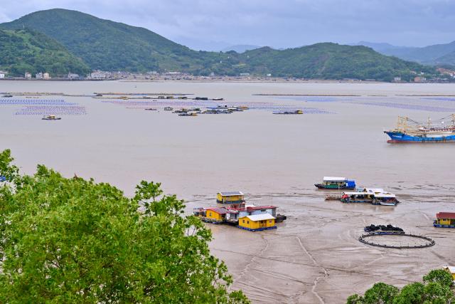 (260711) -- FUDING, July 11, 2026 (Xinhua) -- Fishermen are evacuated to the land in Shacheng Town of Fuding, southeast China's Fujian Province, July 11, 2026.
  Fujian has maintained its Level II typhoon emergency response and activated a Level III flood control emergency response as Typhoon Bavi nears China's east coast on Saturday.
 Local officials have implemented precautionary measures to prevent the Typhoon Bavi, including evacuating residents and inspecting geological hazard sites. Temporary shelters were fully stocked with supplies and medical resources. (Xinhua/Jiang Kehong)