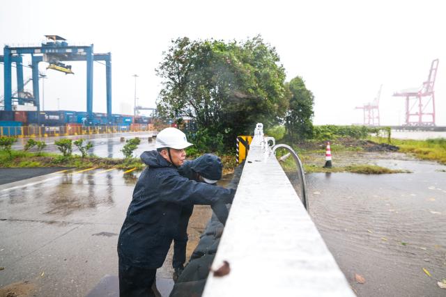 (260711) -- WENZHOU, July 11, 2026 (Xinhua) -- Staff members of Wenzhou Maritime Safety Administration inspect a sealing and reinforcement site at a container wharf in Yueqing of Wenzhou, east China's Zhejiang Province, July 11, 2026. Zhejiang Province in east China raised its typhoon emergency response to the highest level on Saturday as Typhoon Bavi, the 9th typhoon of 2026, barrels toward the country's eastern coast, triggering widespread disaster prevention efforts across multiple provincial-level regions. 
  According to Zhejiang Meteorological Observatory, the severe typhoon was located some 489 km off the coast of the province's city of Wenzhou as of 9 a.m. on Saturday, packing strong-typhoon-level winds near its center. It is forecast to move northwest at a speed of 30 to 35 km per hour and make landfall in Zhejiang around midnight. (Xinhua/Jiang Han)