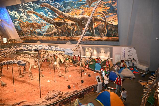 (260711) -- CHONGQING, July 11, 2026 (Xinhua) -- Kids from both sides of the Taiwan Strait set up tents to camp at the Chongqing Natural History Museum in southwest China's Chongqing Municipality, July 10, 2026. From July 9 to 12, young people from China's Taiwan and Chongqing participate in a series of cultural events in Chongqing. 
   A total of 40 kids attending these activities visited Chongqing Natural History Museum on Friday evening. They visited the dinosaur exhibition, learned about paleontology knowledge, played interactive games, built tents together and shared fun stories of their hometowns. The event helped the young people from both sides of the Taiwan Strait know each other better and build closer friendship. (Xinhua/Chen Shuo)