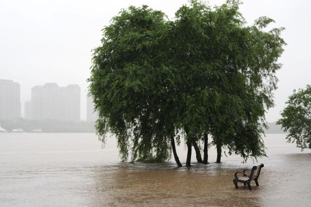 (260713) -- SHENYANG, July 13, 2026 (Xinhua) -- This photo taken on July 13, 2026 shows trees submerged in floodwaters by the Hunhe River in Shenyang, northeast China's Liaoning Province. Due to recent downpours, the water level at the Shenyang Hydrological Station on the Hunhe River reached 37.99 meters. (Xinhua/Li Gang)
